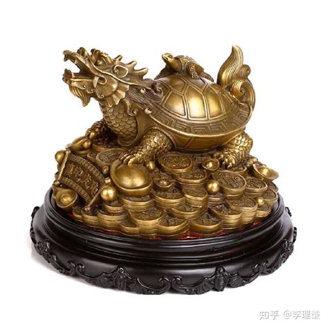 龙龟的摆放方法及禁忌需要注意什么,第2张 龙龟的摆放方法及禁忌需要注意什么,第2张